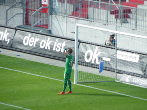 开云体育平台APP-比利时轻取秘鲁，博格巴2制霸全场