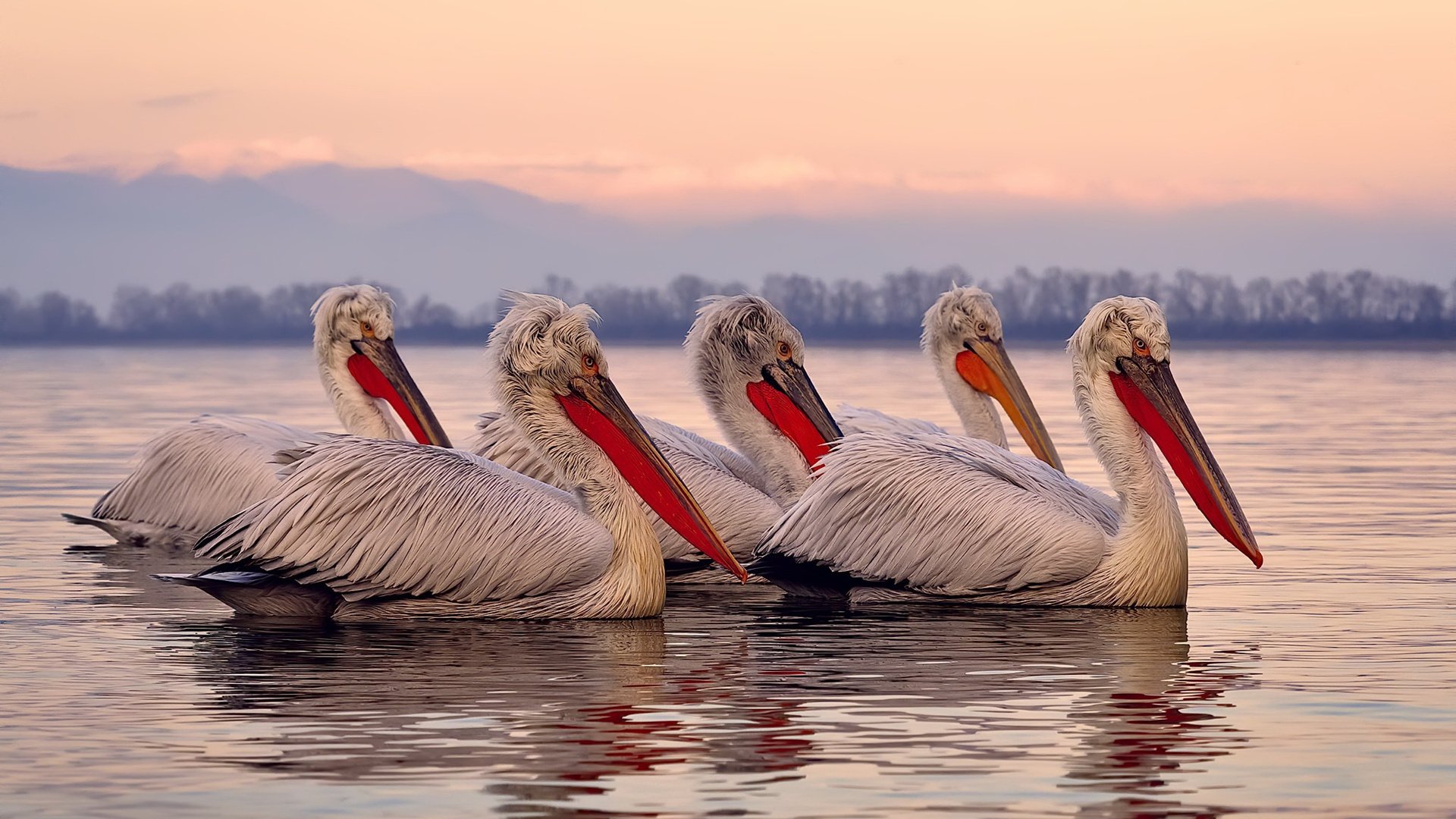 人类创造力的双重奏，当F1终极决战遇见库里神迹之夜